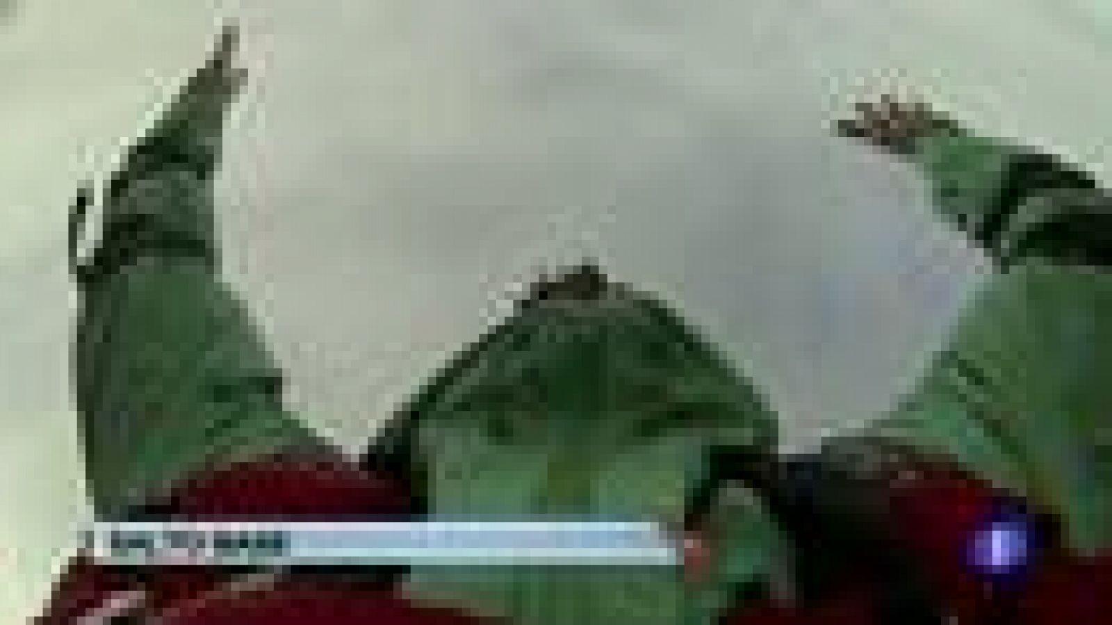 Récord de España de salto base | Ver