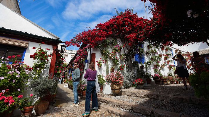 Telediario 1 - El jurado elige el mejor patio de Córdoba