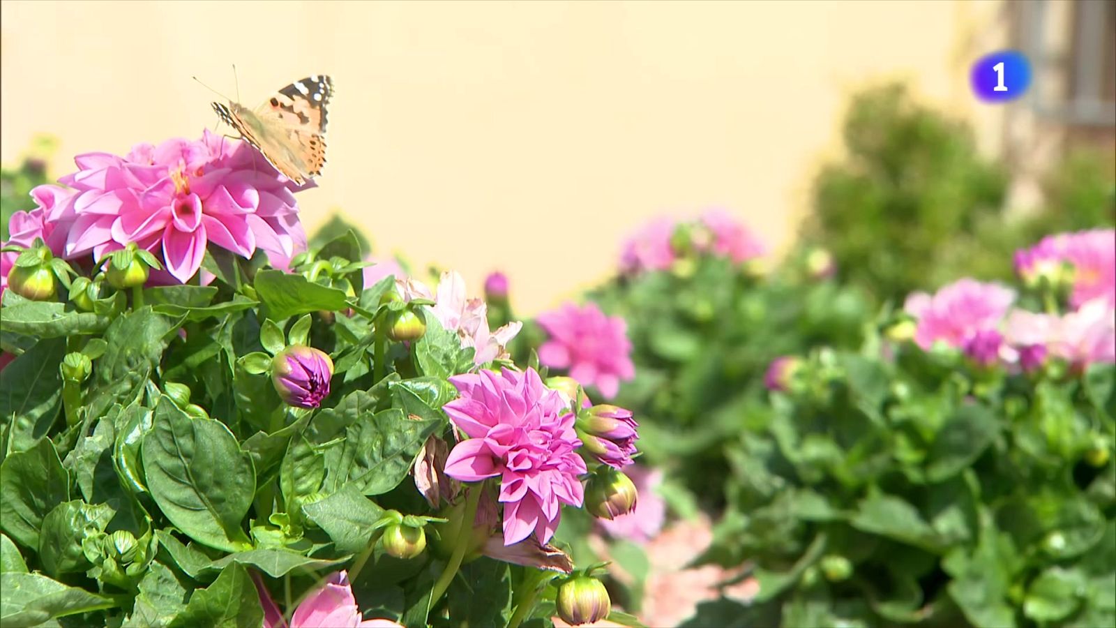 El nou espai museístic de Mercè Rodoreda - L'Informatiu | Veure