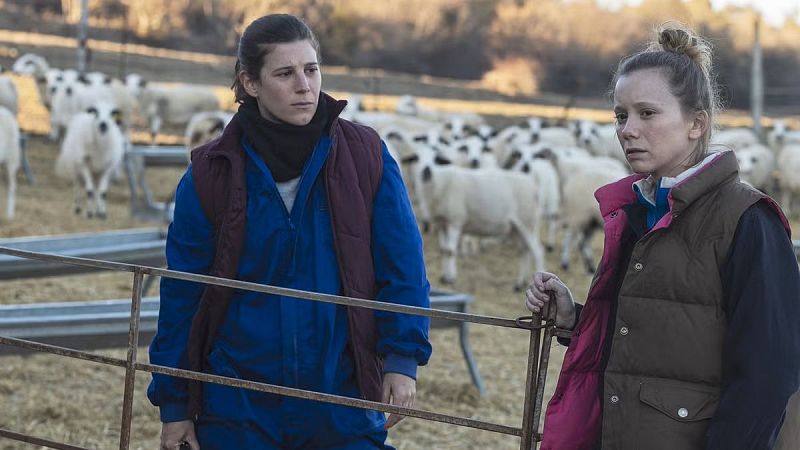 Das de Cine: Lo que queda de ti
