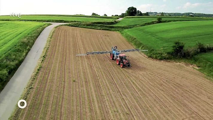 Agrosfera - Agrosfera - 17/05/25