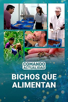Comando Actualidad - Bichos que alimentan