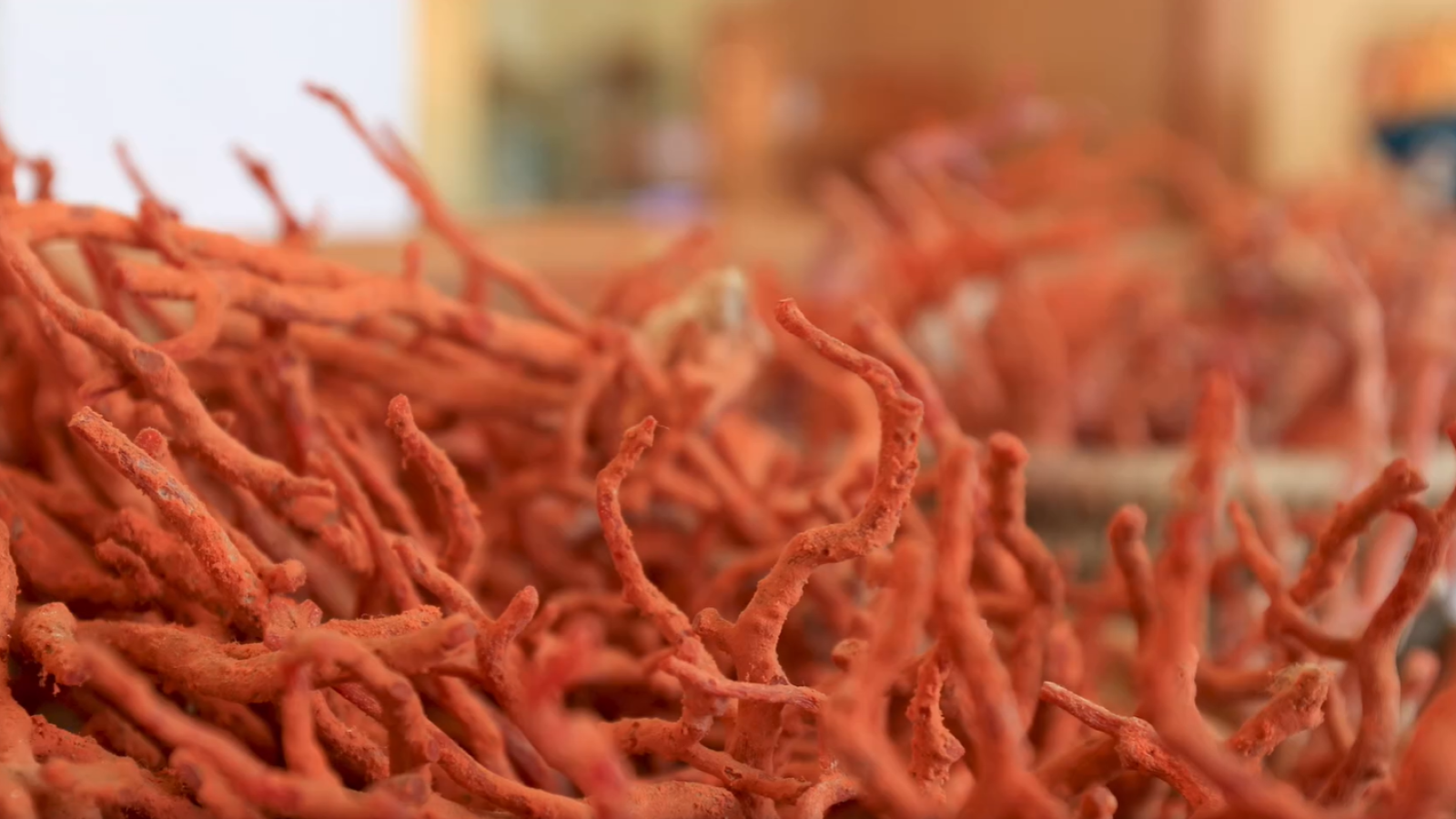 Sabores del mundo - Cerdeña, la isla bella - ver ahora