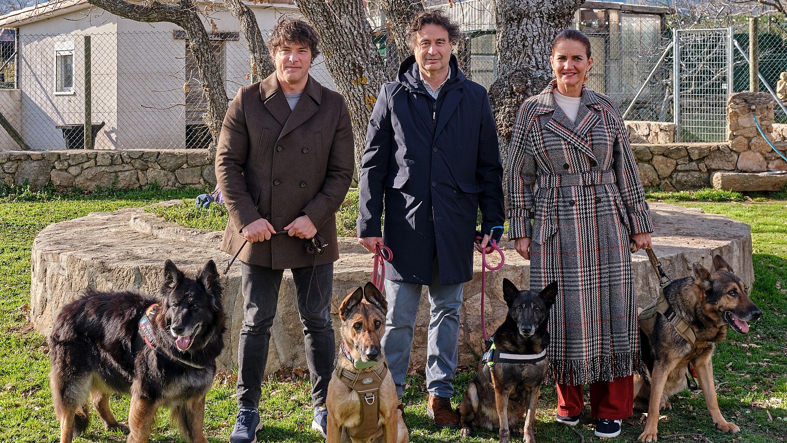 MasterChef y la importancia de adoptar animales de compañía