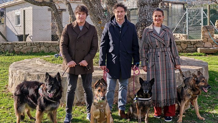 MasterChef y la importancia de adoptar animales de compañía