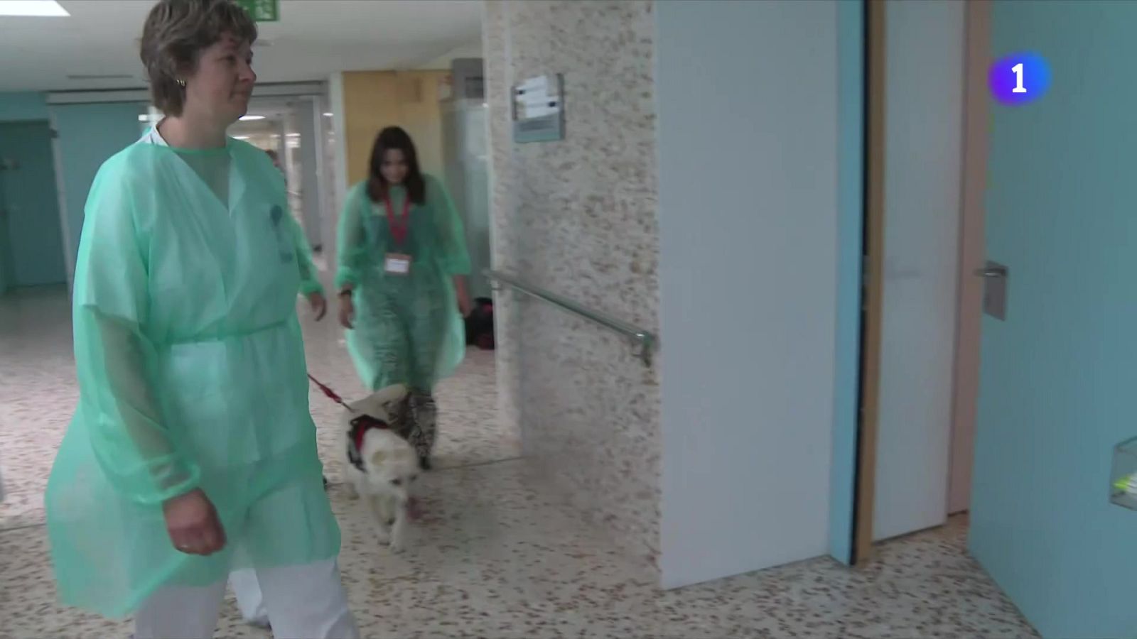 Neix la iniciativa 'Hospigos' per acompanyar els pacients terminals - L'Informatiu | Veure