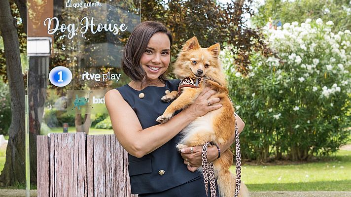 Otros programas - Dog House