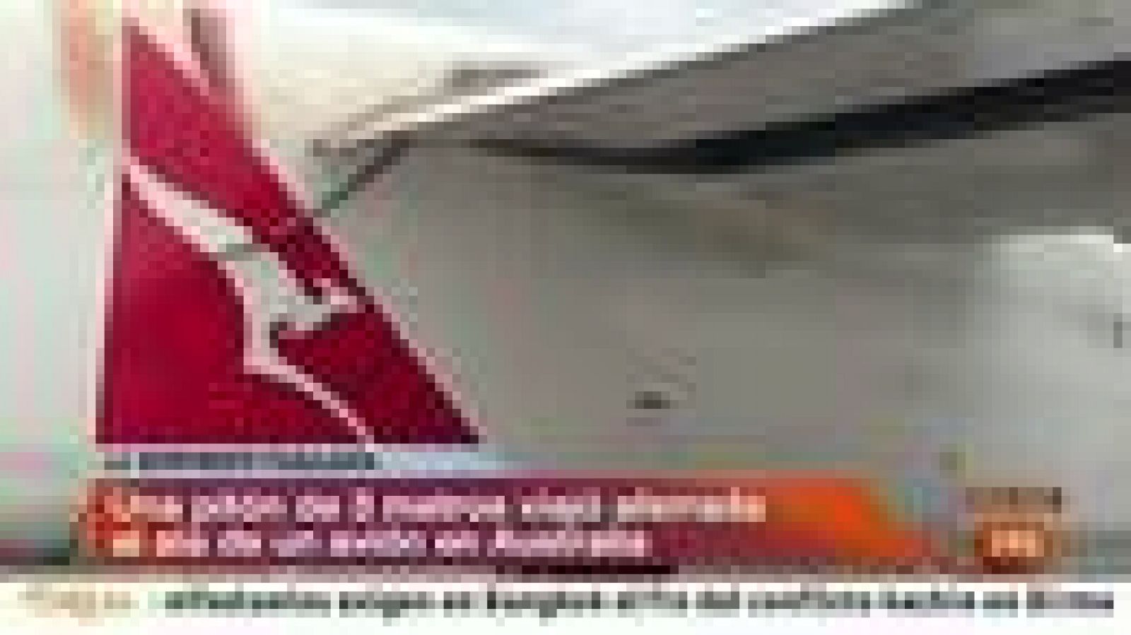 Una serpiente viaja de Australia a Papúa a bordo en el ala de un avión