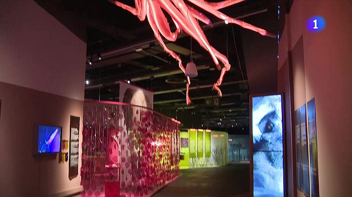 L'Informatiu - El Museu de Ciències Naturals ensenya els 'Animals invisibles'