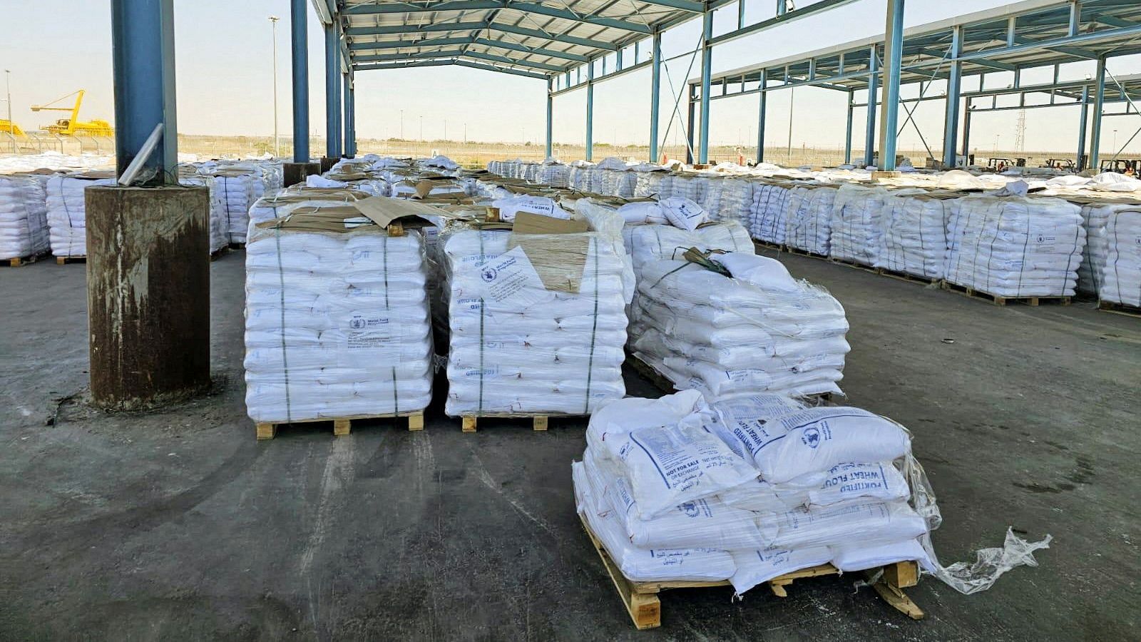 Telediario - 8 horas - 21/05/25 - ver ahora