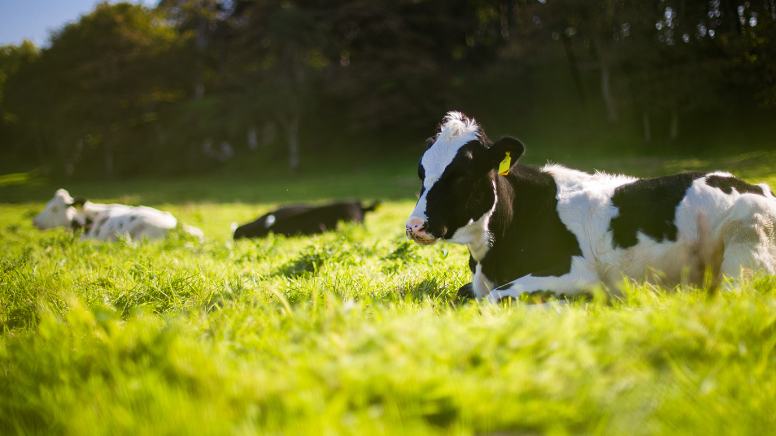 La agrotecnología - Para todos La 2 | Ver