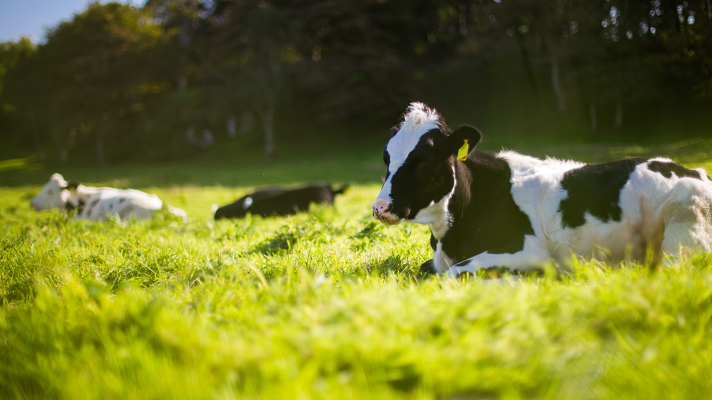 Para todos La 2 - Aplicación de la agrotecnología en Asturias