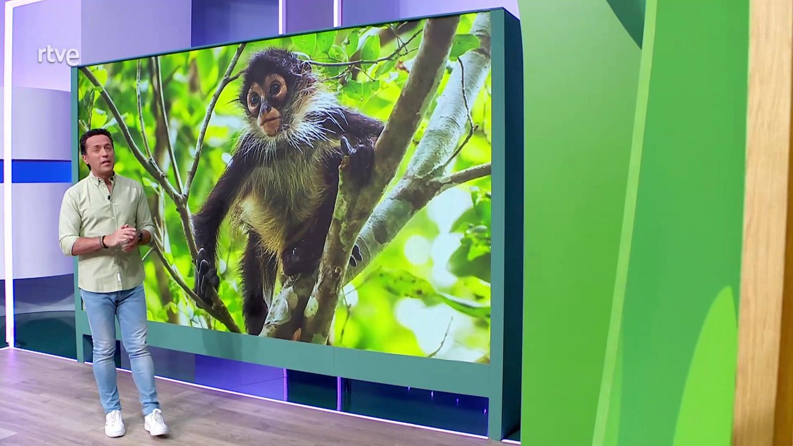 Aquí la Tierra - 21/05/25 - ver ahora