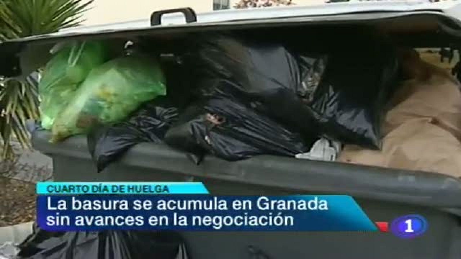 Noticias Andalucia - 10/01/2013 | Ver