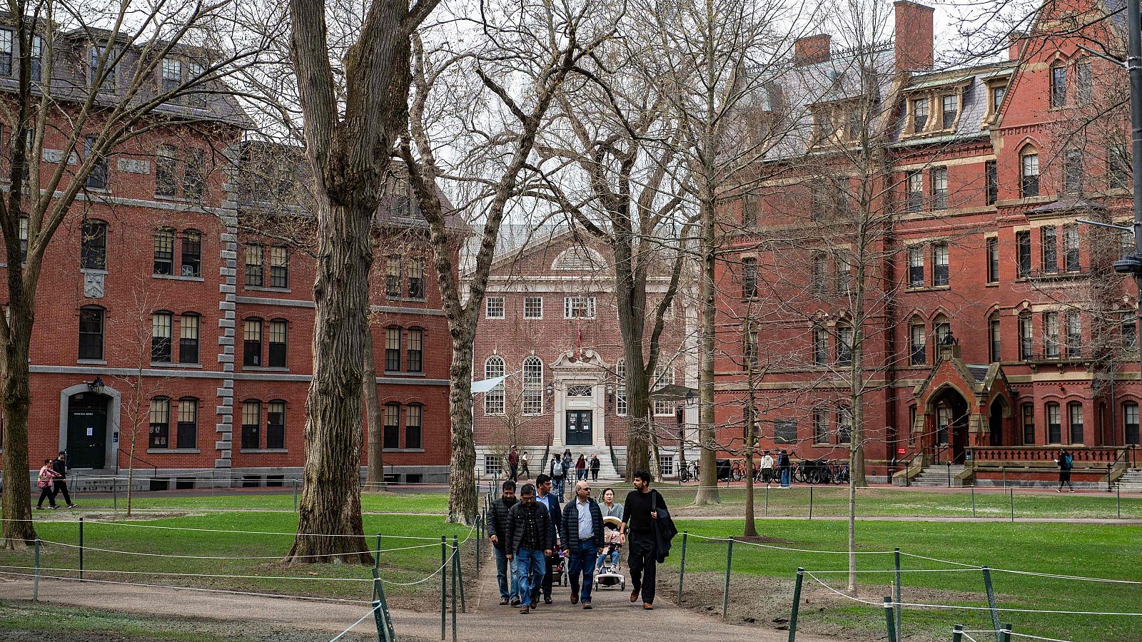 Harvard demanda a la Administración Trump por bloquear la inscripción de estudiantes extranjeros