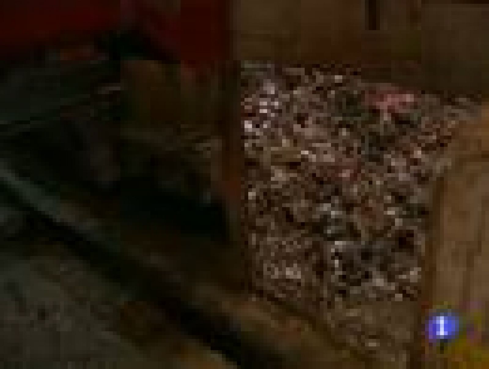 Informatiu Balear 2 - 11/01/13 | Ver