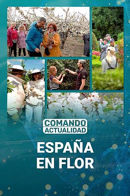 España en flor (1)