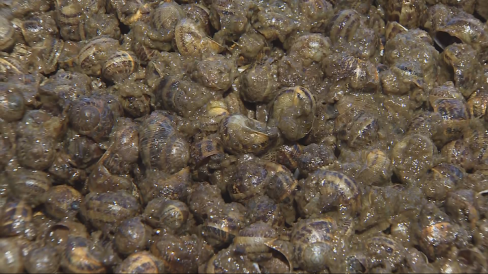 L'Informatiu - L'Informatiu - 24/05/2025