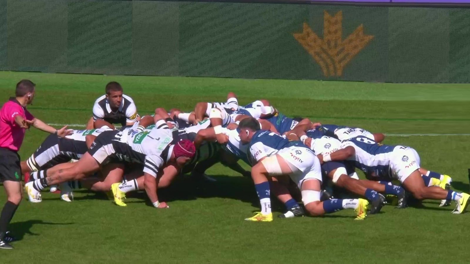 Rugby - Copa del Rey. Final: Inexo El Salvador - VRAC Quesos Entrepinares - ver ahora