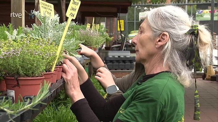 Aquí hay trabajo - Trabajar después del cáncer