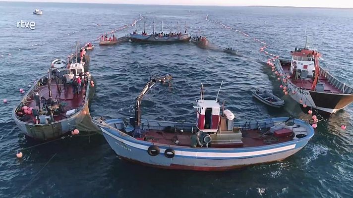 Aquí la Tierra - Aquí la Tierra - 26/05/25