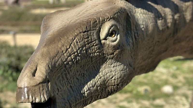 Descubierto en Teruel el cráneo más completo de dinosaurio de Europa | Ver