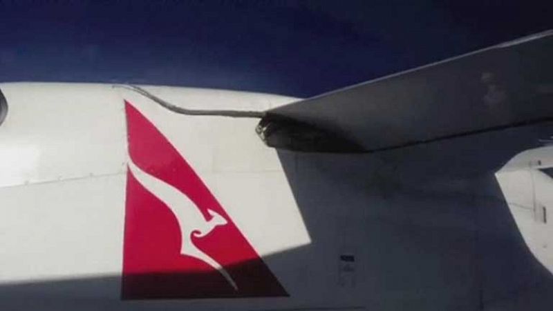 Una pitón en los flaps de un avión