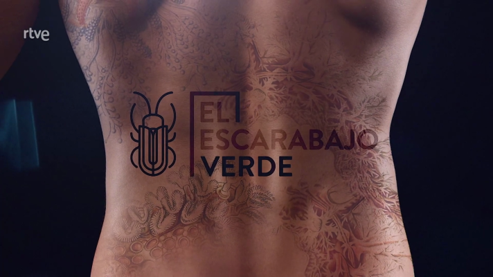 RTVE responde - Detrás del escarabajo