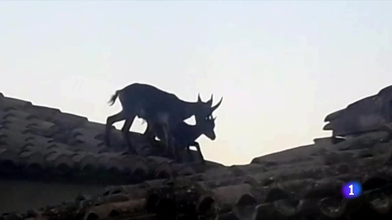 L'Informatiu Comunitat Valenciana 2 - 27/05/25 | Ver