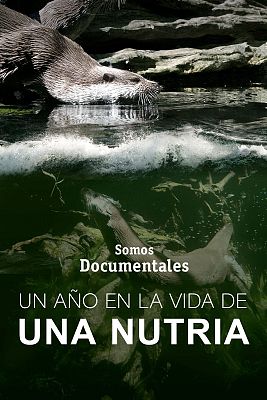 Somos Documentales - Un año en la vida de una nutria