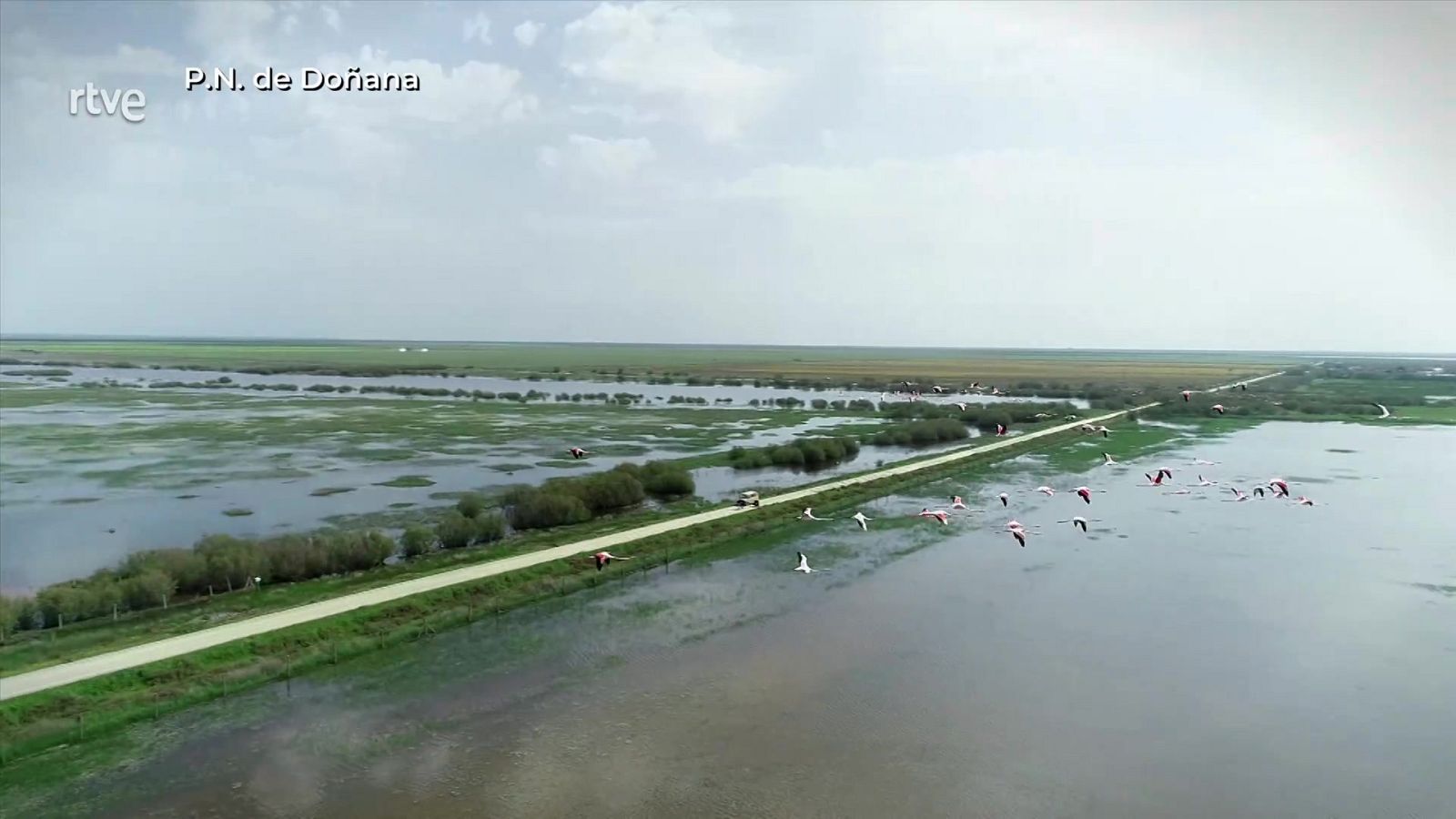 Aquí la Tierra - 27/05/25 - ver ahora