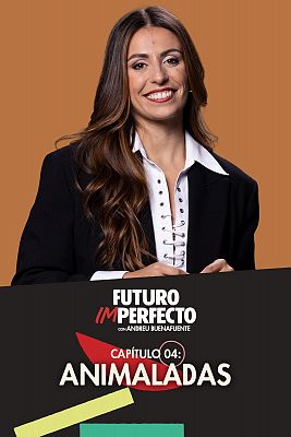 Programa 4