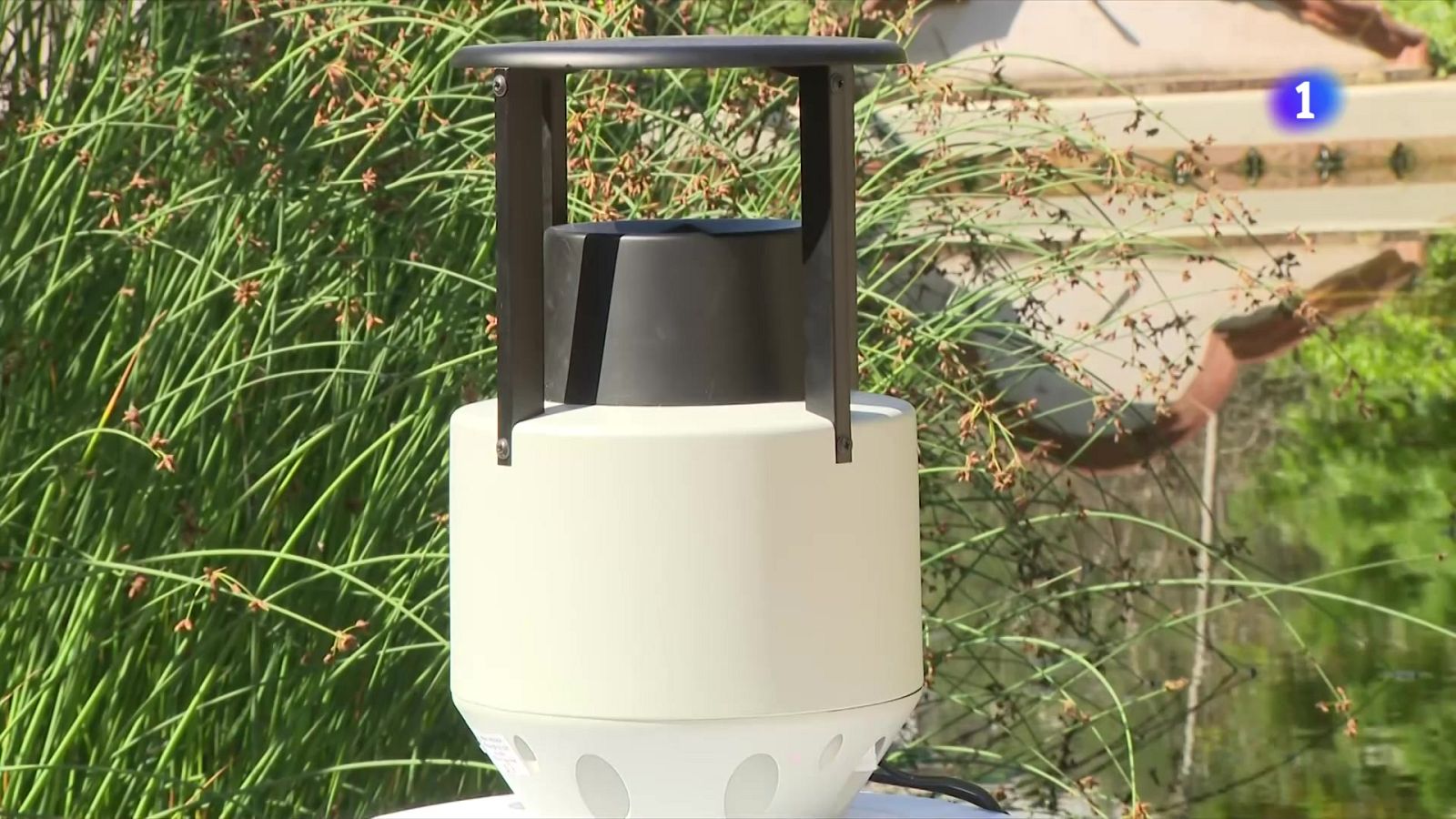 Barcelona posa trampes de mosquits per controlar les plagues - L'Informatiu | Veure