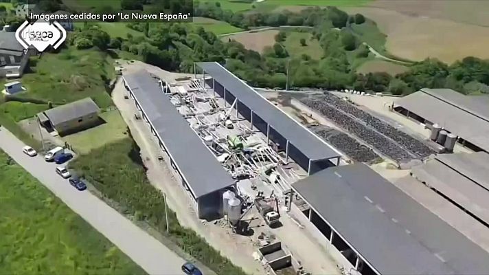 La tarde en 24h - La tarde en 24 horas - 29/05/25