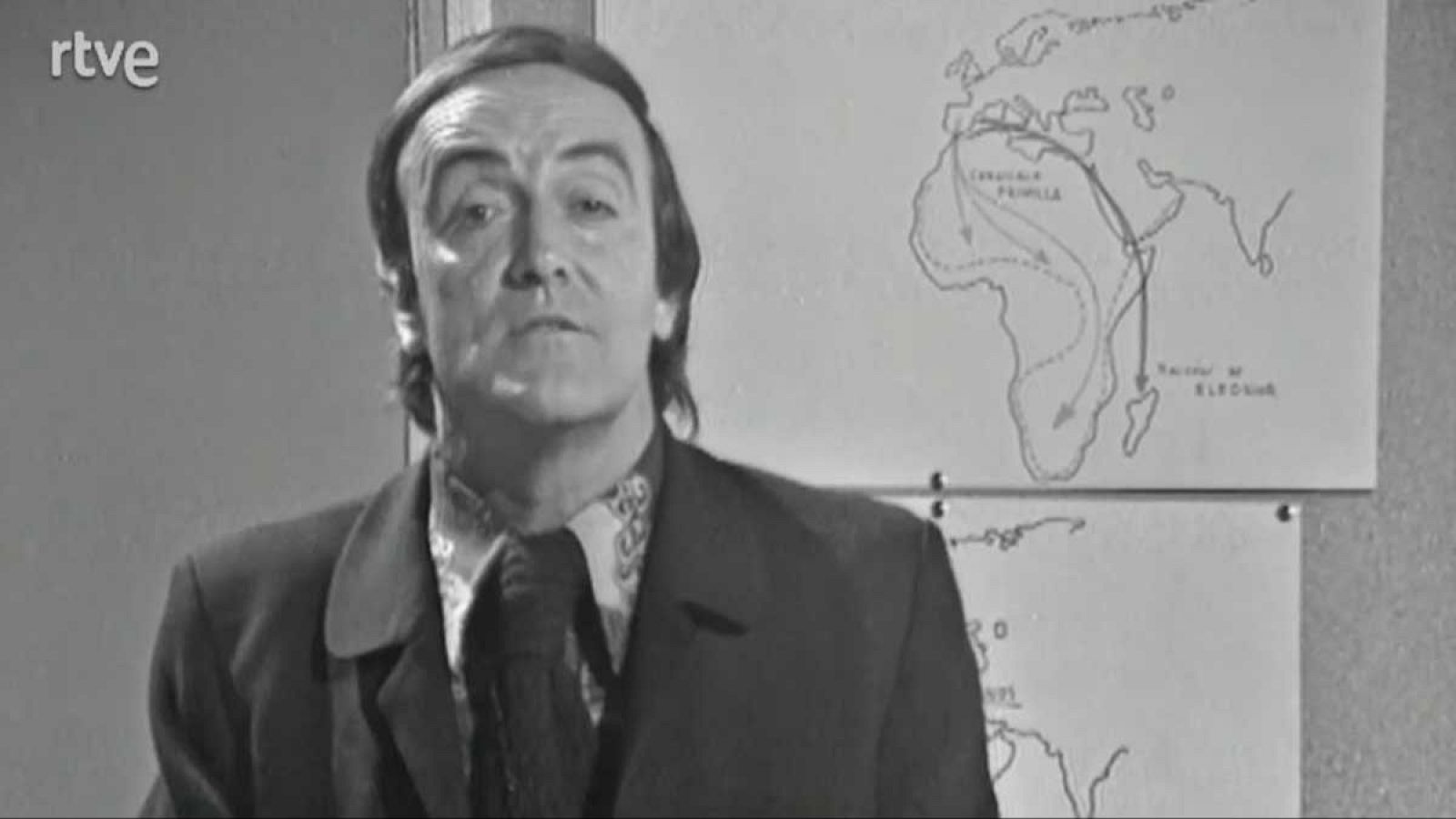 Planeta azul - La migración de las aves - El planeta azul | Ver