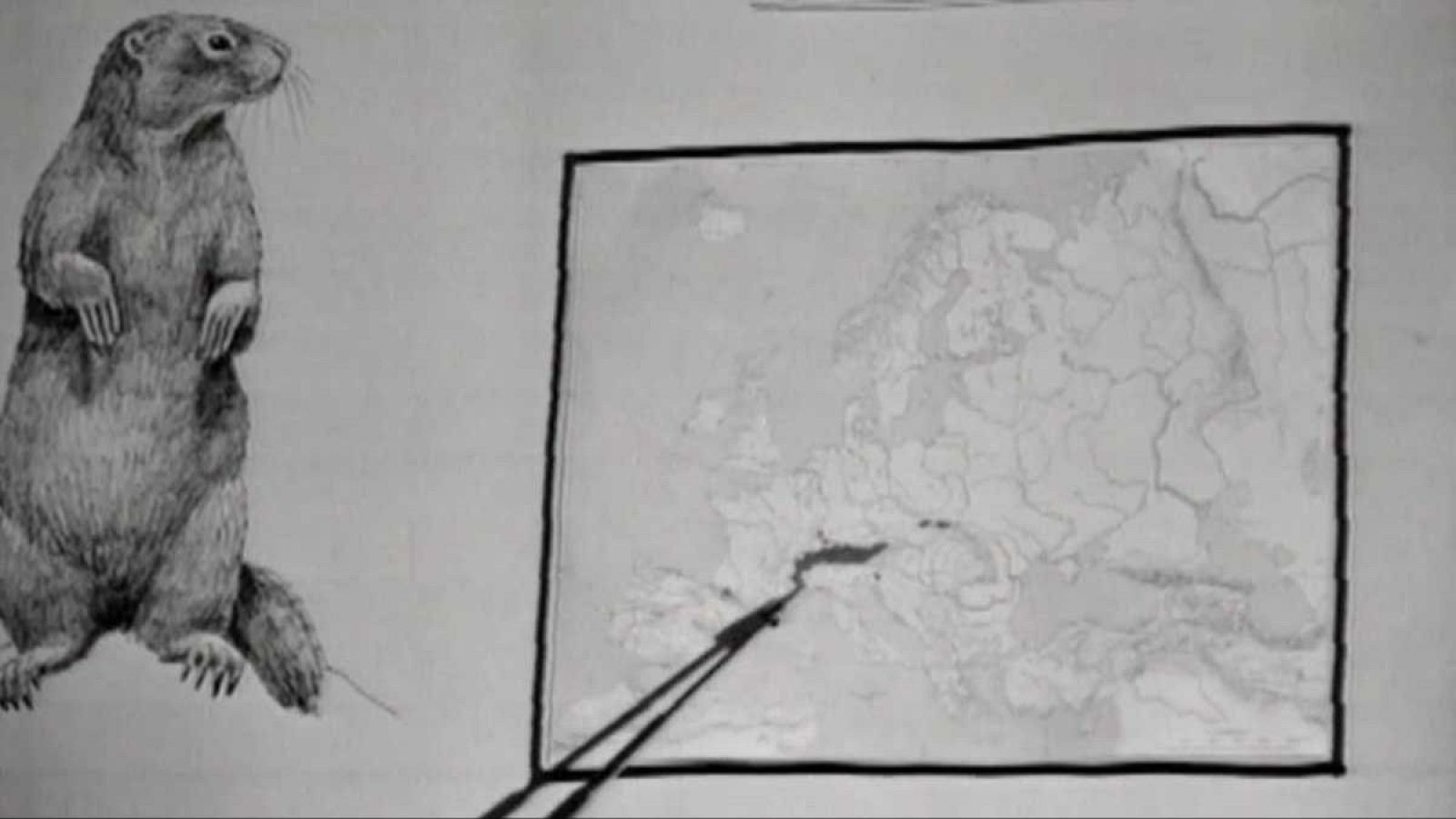 Planeta azul - La marmota - El planeta azul | Ver