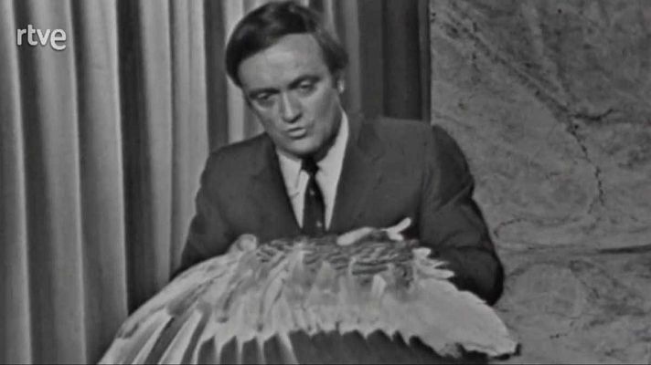 El planeta azul - El milagro del vuelo