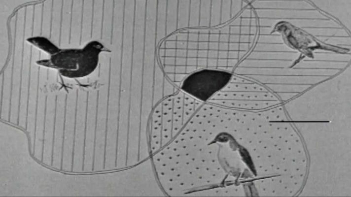 El planeta azul - Danzas de primavera