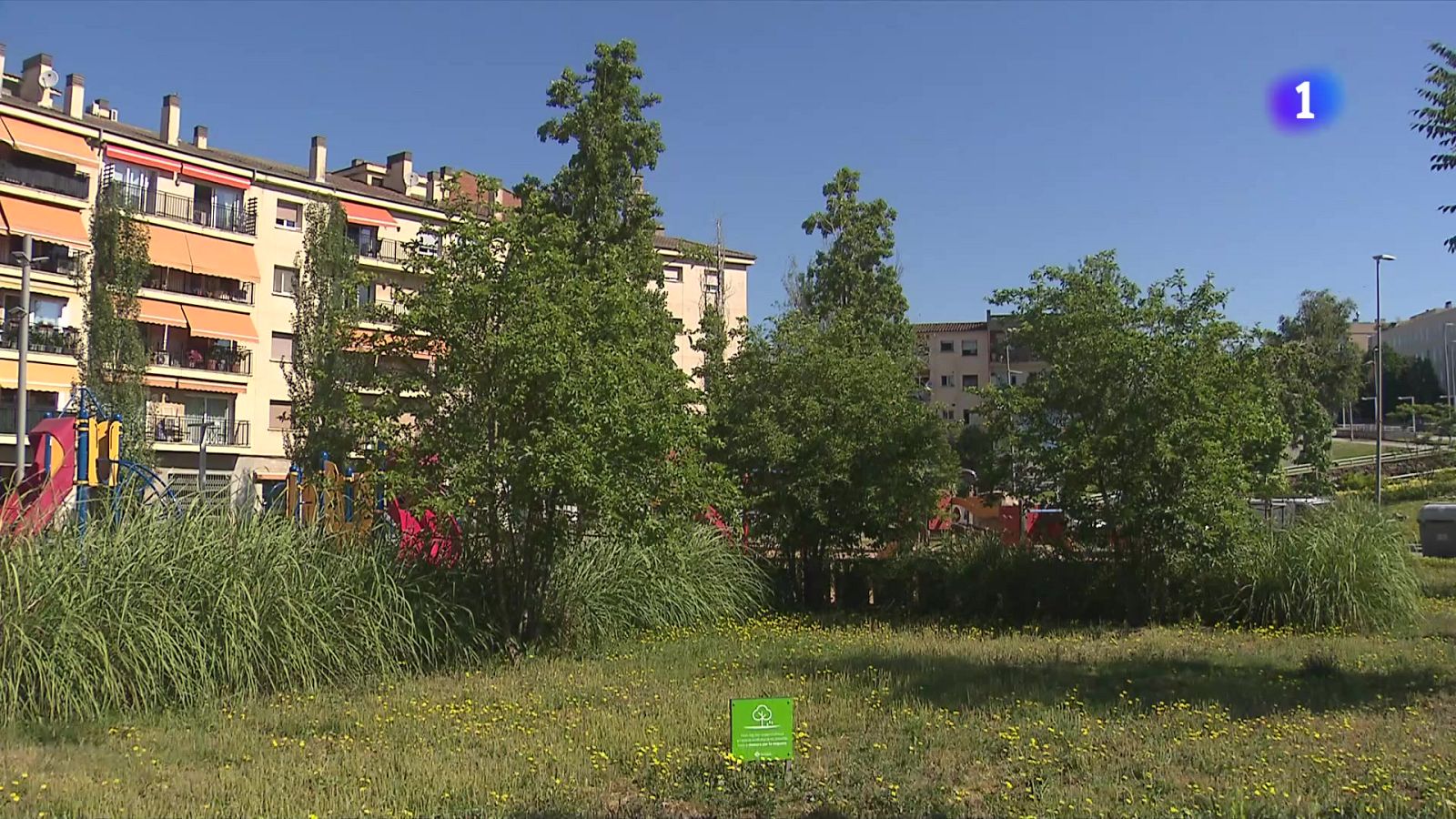 El sector de la jardineria es recupera després del greu episodi de sequera - L'Informatiu | Veure