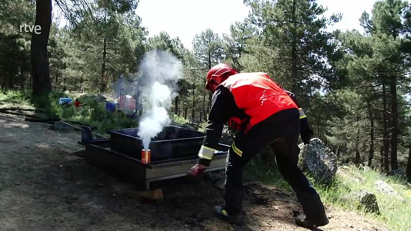Todos contra el fuego: Prevención y Extinción de incendios - Aquí hay trabajo | Ver
