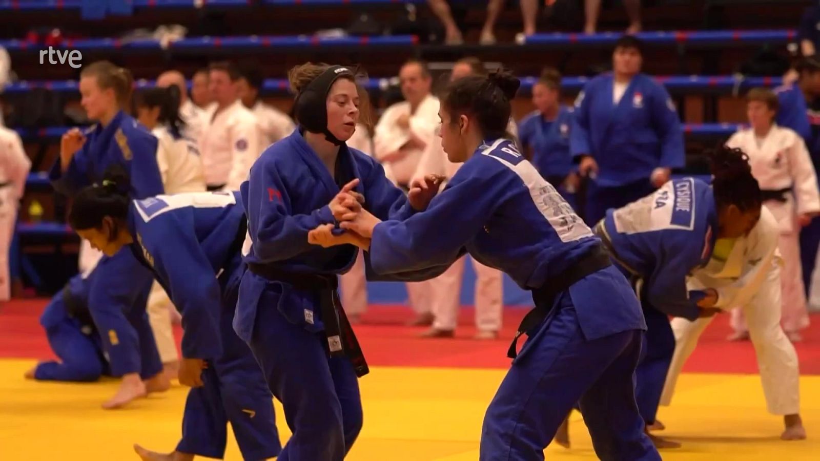 Judo - Olympic Training Cup Benidor - ver ahora