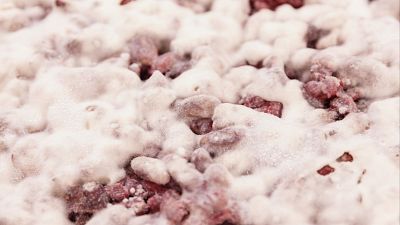 Rhizopus oligosporus o el hongo koji: ¿cómo se usan los hongos en la cocina?