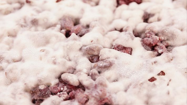 Rhizopus oligosporus o el hongo koji: ¿cómo se usan los hongos en la cocina?