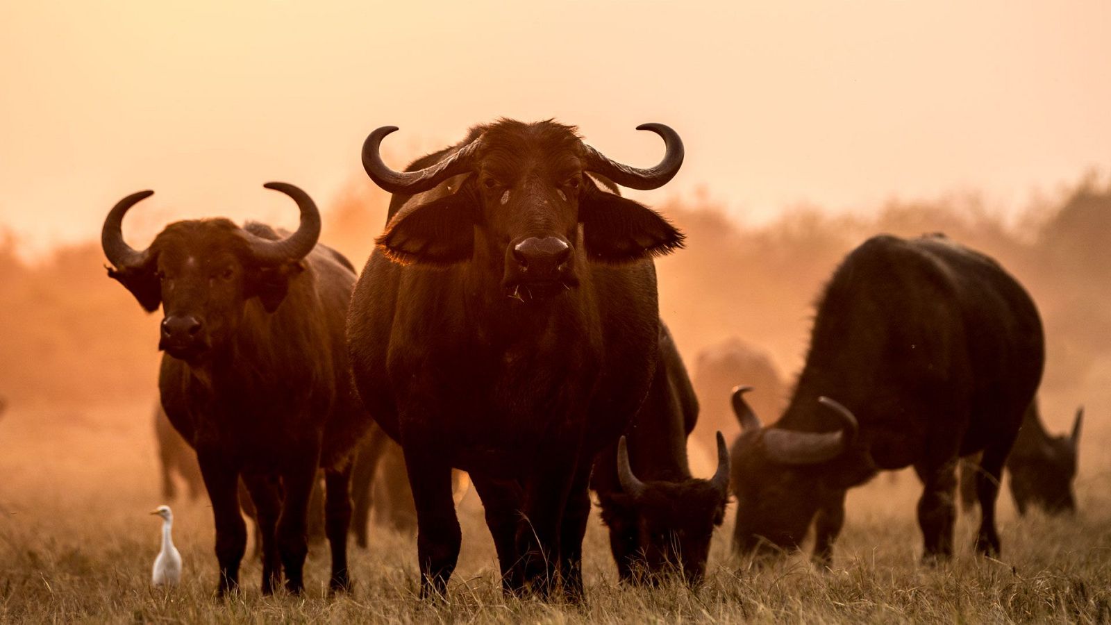 Somos documentales - Los cambios de la naturaleza - ver ahora