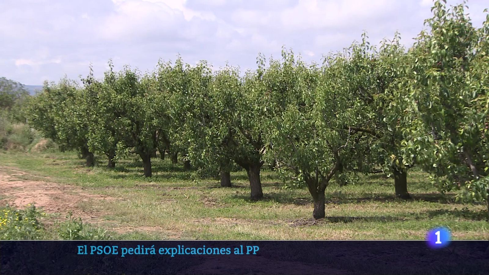 Telerioja en 2 - 03-06-2025 - Ver ahora | Ver