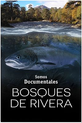 Somos Documentales - Bosques de Ribera