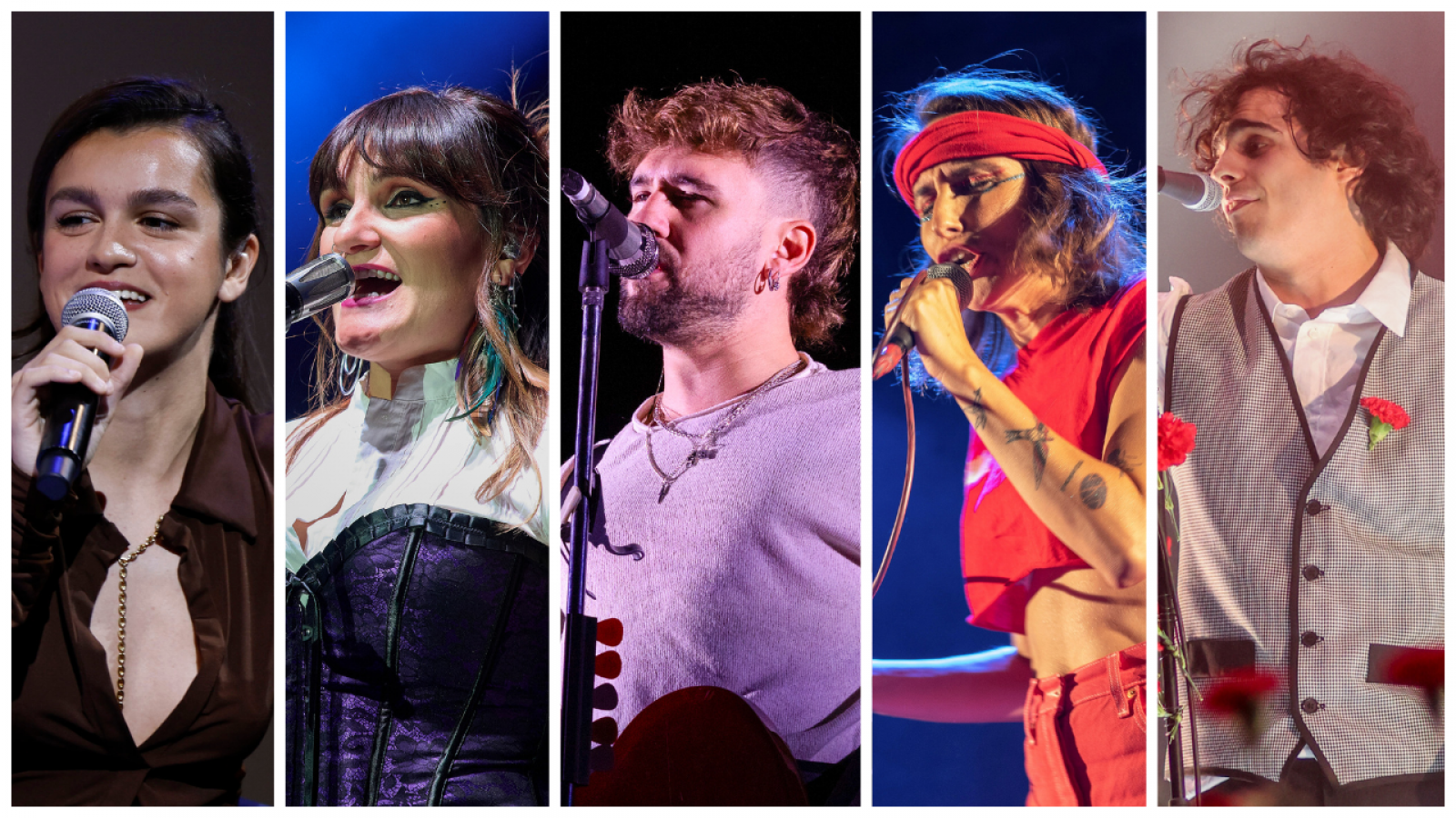Amaia, Rozalén, Dani Fernández, Zahara y Carolina Durante, nominados a artista del año en los Premios de la Academia de Música de España 2025.