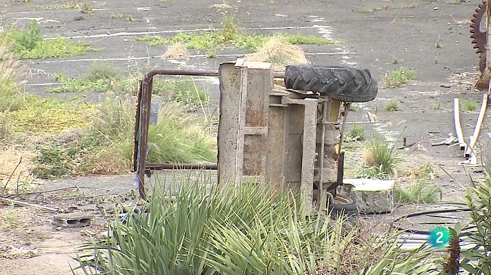 Telecanarias - Telecanarias Tarde - 05/06/2025