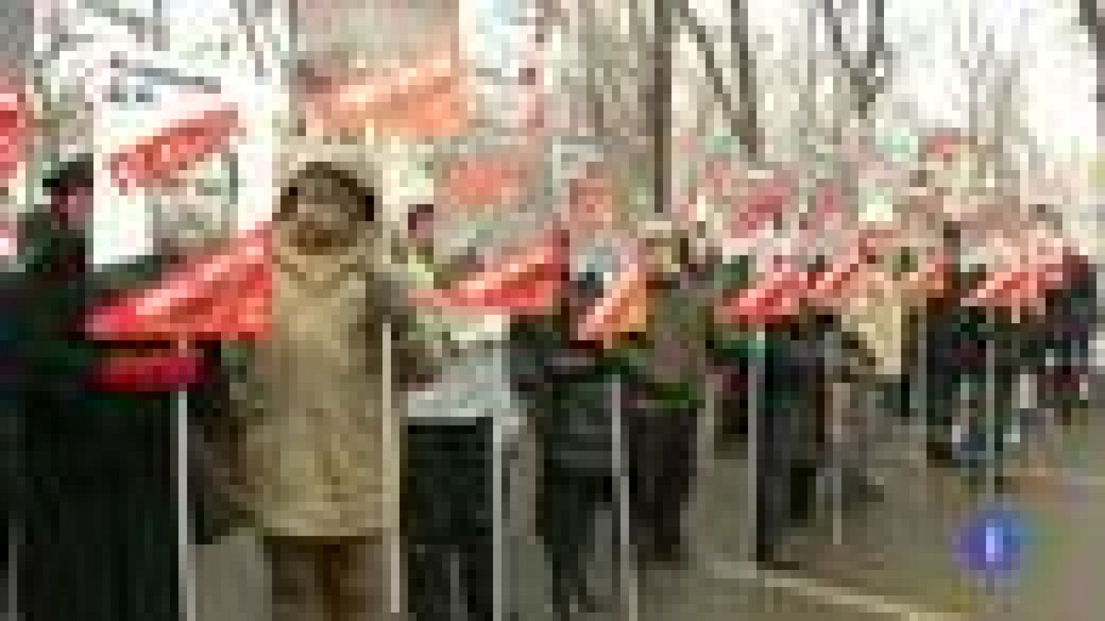 Manifestación en Moscú contra las restricciones a la adopción