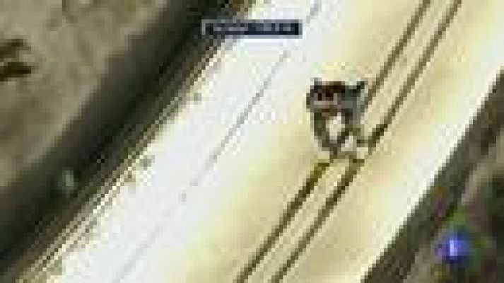 Telediario 1 - Regreso triunfal de Anders Jacobsen a los trampolines